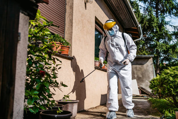 Best Best Pest Control Companies  in Virginia, MN