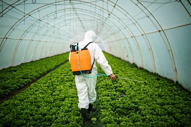 Best Local Pest Control Services  in Virginia, MN
