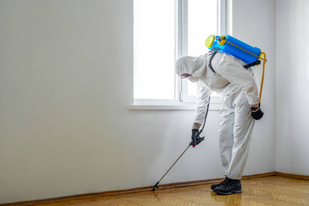 Best Pest Control for Businesses  in Virginia, MN