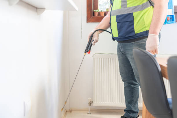 Best Pest Control Near Me  in Virginia, MN
