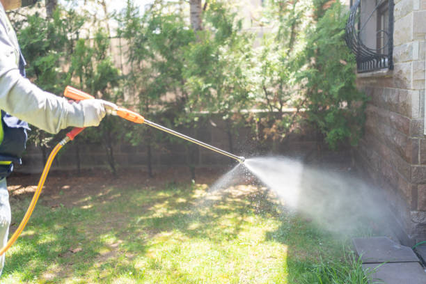 Best Termite Control Services  in Virginia, MN