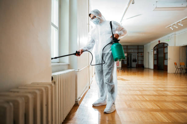 Best Emergency Pest Control  in Virginia, MN