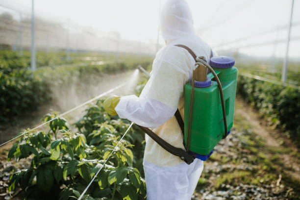 Reliable Virginia, MN Pest Control Solutions
